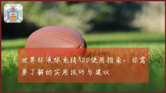 世界杯滚球竞猜App使用指南，你需要了解的实用技巧与建议