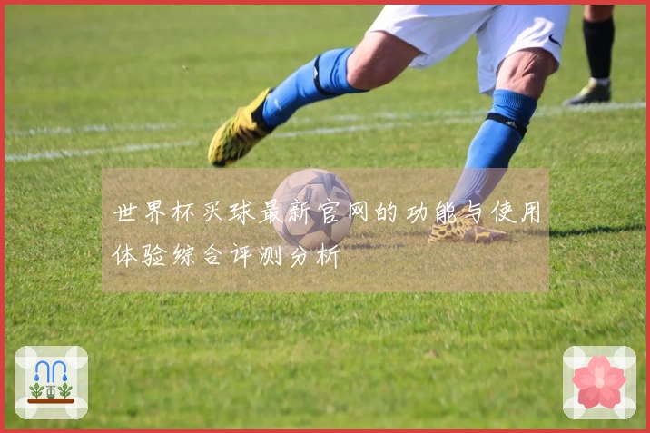 世界杯买球最新官网的功能与使用体验综合评测分析