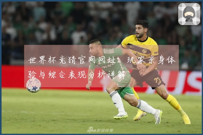 世界杯竞猜官网网址：玩家亲身体验与综合表现分析详解