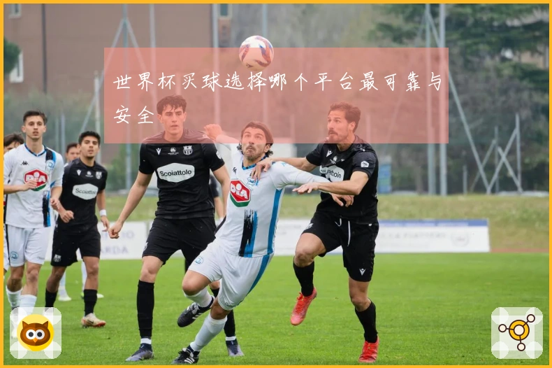 世界杯买球选择哪个平台最可靠与安全