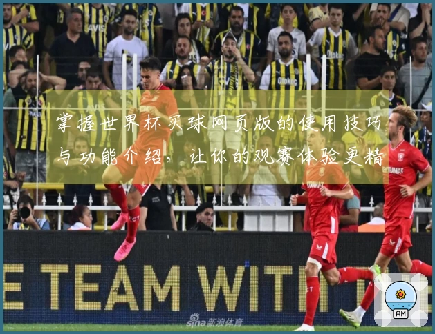 掌握世界杯买球网页版的使用技巧与功能介绍，让你的观赛体验更精彩