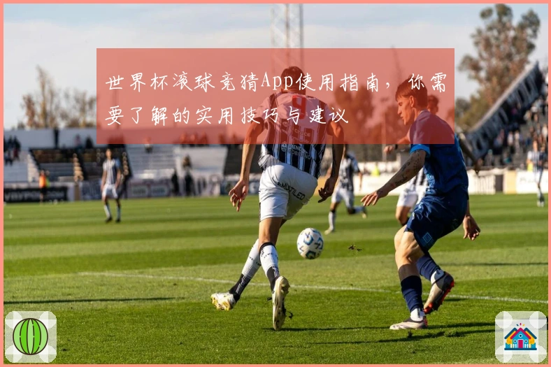 世界杯滚球竞猜App使用指南，你需要了解的实用技巧与建议