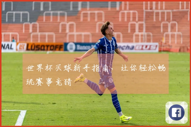 世界杯买球新手指南，让你轻松畅玩赛事竞猜